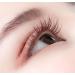 Lash Extension Supplies - 2 Trays 12 Rows Soft Faux Mink Individual Lashes Japanese Camellia Natural Series 0.05-C 10mm & 11mm Caramel - Shop Internationally - Buy Online on GoSupps.com