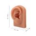 Dark Skin Tone Silicone Human Ear Model for Medical Training - Left & Right | Educational Practice Model - Buy Online on GoSupps.com