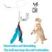 ZDQC 12-Piece Cat Fishing Rod Set - Interactive Cat Toys with Feathers Bells & Springs for Endless Fun - Buy Online on GoSupps.com