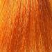 Blush Satine Dark Blonde Temporary Hair Color - Easy Application No Root Effect - Buy Online on GoSupps.com