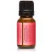 Buy P&J Trading Strawberry Shortcake Fragrance Oil 10ml - Perfect for Candle Making Soap Making & Diffusers - Shop Now - Buy Online on GoSupps.com