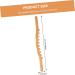 Clispeed 5-Stick Roll Rod with 20 Balls - Wooden Trigger-Point & Lymph Massage Device for Body Fitness | Multi-Tool Massage Roller - Buy Online on GoSupps.com