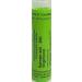 Hamamelis Virginiana 200K Homeopathy Medicine Schmidt-Nagel Canada (Homeodel) 90 pellets/granules