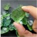 Natural Crystal Rough Natural Crystal Rough Natural Green Fluorite Quartz Crystal Rock Tumble Stones for Fish Tank Aquarium Garden Decoration (Size : 60-70G) - Buy Online on GoSupps.com