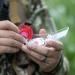 FOXPRO LOADED GUN Combo