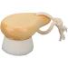 Qukaim Wooden Facial Brush Wooden Facial Cleansing Brush with Beech Handle and Soft Fiber Bristles Manual Face Cleaning Brush with Hang Ring - Buy Online on GoSupps.com