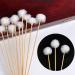 10Pcs Goose Feather Earpick Wax Remover Spoon Set - Adult Handle Ear Dig Tool - Buy Online on GoSupps.com