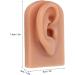Buy 2 Pairs 3D Fake Ear Display - Reusable Silicone Ear Model for Piercing & Acupuncture Practice | International Shipping - Buy Online on GoSupps.com