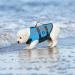 Emust Dog Swimming Vest - Reflective Life Jacket for Small Dogs | Durable Water Safety Vest with Rescue Handle - Ideal for Swimming & Boating - Blue Size S - Buy Online on GoSupps.com