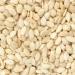 Nature Connect Raw Seeds Mix for Eating - 1kg -Chia Sunflower Pumpkin Flax & Watermelon (200g*5 Pack)_Packing May Vary - Buy Online on GoSupps.com