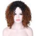 Curly Hair Wigs for Black Women | Natural Kinky Curly Afro Lace Front Wigs | Short Fluffy Wavy Human & Synthetic Options - Buy Online on GoSupps.com