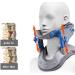 Shop ININOSNP Neck Support Bandage - Ergonomic Adjustable Neck Traction Device for Optimal Support - Buy Online on GoSupps.com