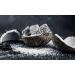BAKERS STREET DECICATED COCONUT FINE (1 KG) |MADE IN SRILANKA |NATURAL DRIYED COCONUT |LAW FAT |GOOD FOR HELTH | WORLD BEST COCONUT IN SRILANKA. - Buy Online on GoSupps.com