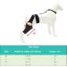 QYJLOFMVE Dog Knee Brace Support for Large and Small Dogs Suffering from ACL CCL Cruciate Ligament Injuries Luxating Patella or Osteoarthritis for Rear Legs and - Buy Online on GoSupps.com