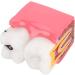 Buy Caries Comparison Study Models | Dental Anatomy Teeth Models for Dentist Education - International Shipping - Buy Online on GoSupps.com