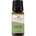 Plant Therapy Respir Aid Essential Oil Blend 10 mL (1/3 oz) Sinus, Airway and Congestion Clearing Synergy Blend 100% Pure, Undiluted, Natural Aromatherapy, Therapeutic Grade 0.34 Fl Oz (Pack of 1)