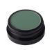 MEICOLY Green Matte Eyeshadow - Vegan, Cruelty-Free, High Pigment Pressed Powder for Day & Night - Flipper 210 - Buy Online on GoSupps.com