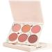Matte Finish Blush Makeup for Cheeks Smooth Powder Face Blush Blendable Long-Lasting All day 6 Colors Blushing Pigmented and Lightweight Blush Palette