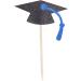 3 Pack Graduation Cupcake Insert 2022 Book Roll Doctor Hat Shape Black Blue Graduation Cake Insert Graduation Cupcake Topper for Celebrate Success Graduation - Buy Online on GoSupps.com