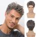 Baruisi Mens Short Wig Mixed Brown Cosplay Hair Wig Natural Synthetic Replacement Wig Brown&silver