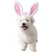 Golden Apple 2 Pcs Christmas Pet Headband Fluffty Bunny Ears Headband Easter Party Puppy Headwear Supplies for Cat Dog (S) - Buy Online on GoSupps.com