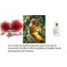 DUO S RUM CROISSANCE & BROSSE STIMULANTE S rum croissance Anti-Chute et fortifiant | soin capillaire ultra-concentr  - Buy Online on GoSupps.com