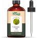 Calamus (Acorus Calamus) Oil | Pure & Natural Essential Oil for Skincare Hair Care Aroma & Diffusers - 118ml/3.99fl oz