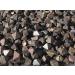 MK pke Magnetic Iron Octahedron - 50g Lodestone Iron Stone | Size S - Shop Premium Magnetic Ore for International Shipping - Buy Online on GoSupps.com