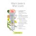 Juice Beauty STEM CELLULAR SPF 30 CC Cream Desert Glow 1.7 fl oz - Natural Sun Protection with Anti-aging Benefits - Buy Online on GoSupps.com