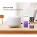 Water-Soluble Aromatherapy Diffuser for Essential Oils | 3 Pack of 10ml | 19 Aroma Types | FreeSie Air Humidifier - Buy Online on GoSupps.com