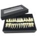 Fhuili teeth lessons - 1 to 1 monochrome permanent teeth model - 28 artificial dentures with roots - simulation oral dental teeth demonstration model - for teaching lessons a