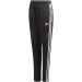 adidas Boys' Tiro 19 Training Pants Black/White - Youth Soccer Pants - Buy Online on GoSupps.com