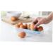 LABRIMP Egg Storage Container 2pcs 10 Eggs Storage Bins with Lid Egg Storage Tray Egg Case Egg Holder Container re-usable Green 24.5*10.5*7cm - Buy Online on GoSupps.com