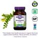 Oregon's Wild Harvest Astragalus - 90 Gelatin Capsules | Immune Support & Herbal Wellness - Buy Online on GoSupps.com