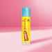 Carmex Naturally Stick Watermelon - Natural Lip Care for Smooth Lips | 4.25g (1 Pack) - Buy Online on GoSupps.com