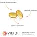 Buy Vitals Ubiquinol 50mg - 150 Vegetarian Softgel Capsules | Optimal Bioavailability | Kaneka Q10 Specialist - Buy Online on GoSupps.com
