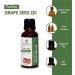 100% Pure Grape Seed Oil 15 ML | Natural Undiluted Therapeutic Grade Vitus Vinifera Carrier Oil | International Shipping Available - Buy Online on GoSupps.com