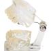 Transparent Removable Tooth Model for Teaching - Easy to Use Synthetic Resin Dental Practice Tool - Buy Online on GoSupps.com