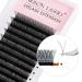 Yy Eyelash Extension D Curl 0.07 - 8mm Mixed Tray with Prefabricated Compartments | Premium Individual Lashes - Buy Online on GoSupps.com