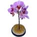 Round Metal Flower Arranger Tool with Rubber Gasket - 34mm | Floral Arrangement Pin Holder for DIY Flower Craft - Buy Online on GoSupps.com