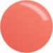 JESSICA JESSICA Custom Colour Nail Polish Dahlia 14.8ml - Buy Online on GoSupps.com