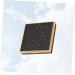 Mikinona 1pc Empty Eyeshadow Dish Eyeshadow Palette DIY Makeup Palette Black Eye Shadow Girl Empty Eye Shadow - Buy Online on GoSupps.com
