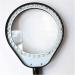 Screen Magnifier Desk lamp Magnifying Glass Magnifying Glass with 36 LED high-Definition Magnifying Glass Repair Engraving Reading Embroidery Magnifier with LED Light Double The Comfort - Buy Online on GoSupps.com