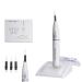 TEPTOARCH Gutta Percha Obturation System Endo Heated Pen with 4 Tips - Buy Online on GoSupps.com