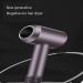 High-Power Leafless Hair Dryer Negative Ion Hair Dryer - Buy Online on GoSupps.com