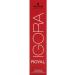 Schwarzkopf Igora Royal Dye 4-0 Mittelbraun 60g - Pack of 1 - Buy Online on GoSupps.com