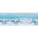 Dead Sea Face Firming Serum - Gentle Anti-Aging Formula for Sensitive Skin - International Shipping Available - Buy Online on GoSupps.com