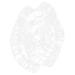 Parliky Shaped Growth Fruitful Fruit Forming Shapes Fruit Shaper Fruit Cloth Bag Vegetable