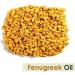 Fenugreek Oil (Trigonella foenum) Essential Oil 100% Pure & Natural - Undiluted Uncut Cold Pressed Aromatherapy Premium Oil - Therapeutic Grade - 15 ML Dropper Fenugreek 15ml dropper - Buy Online on GoSupps.com