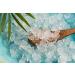 Japanese water kefir grains for making kombucha live probiotics crystals 50 g